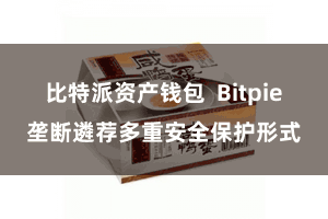 比特派资产钱包 Bitpie垄断遴荐多重安全保护形式