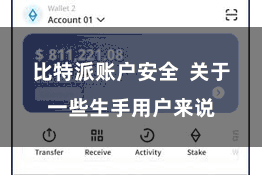 比特派账户安全  关于一些生手用户来说