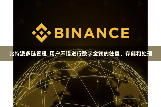 比特派多链管理 用户不错进行数字金钱的往复、存储和处理